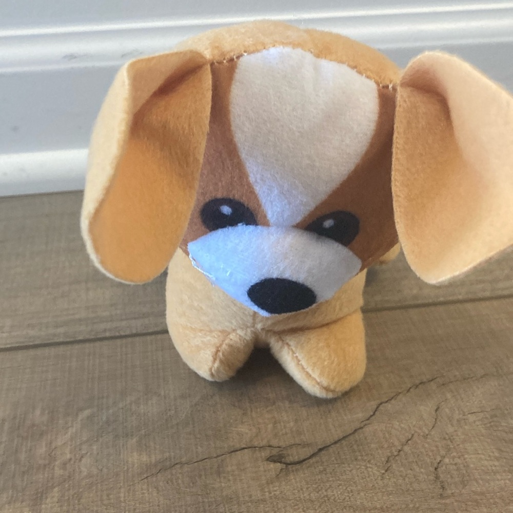 Sad puppy